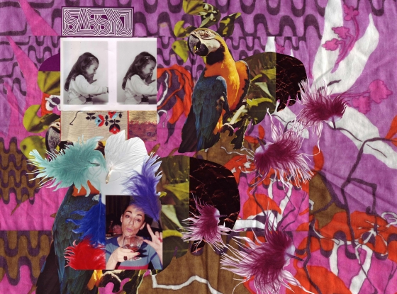 http://sassyj.net/media/blog/CollageUdiJuni11WEB.jpg