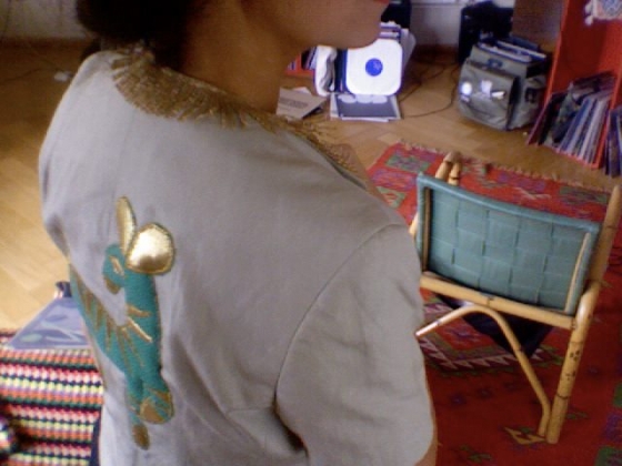 http://sassyj.net/media/blog/FantasticAnimalVest.jpg