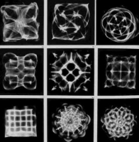 Cymatics | Sassy J